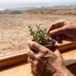 The Impact of Climate Change on Retirement Locations - guide