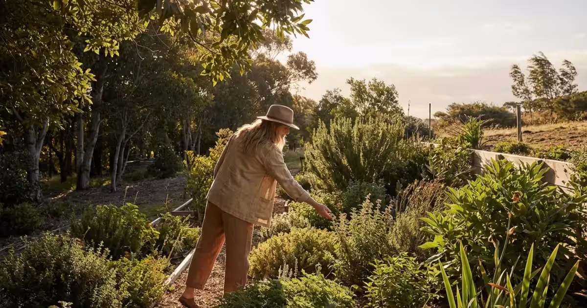 Understanding Microclimates: Finding Your Perfect Local Weather - guide